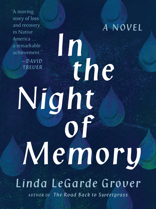 Title details for In the Night of Memory: a Novel by Linda LeGarde Grover - Available